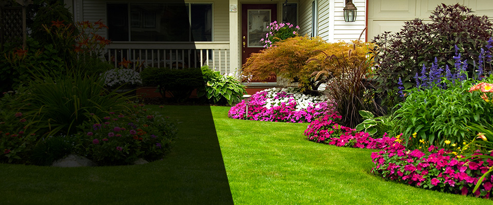 Iota Landscapers