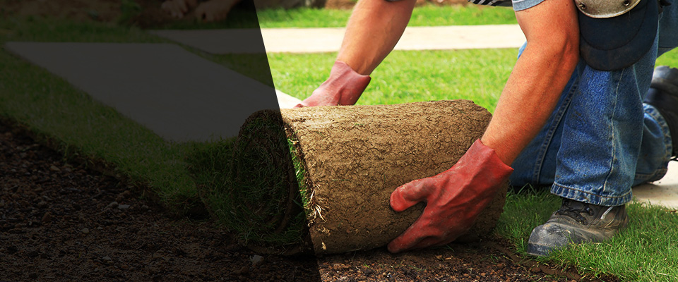 Iota Landscapers